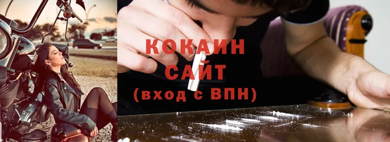 COCAIN Боливия  Бологое 